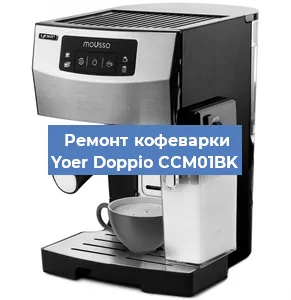 Замена прокладок на кофемашине Yoer Doppio CCM01BK в Челябинске